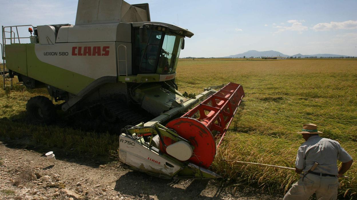 La PAC medioambiental, uno de los retos pendientes de la nueva Comisión