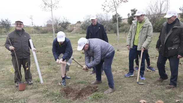 Los municipios plantan un árbol por Europa