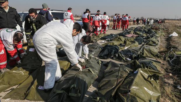 Las cuatro teorías que maneja Ucrania sobre el avión que se estrelló en Irán