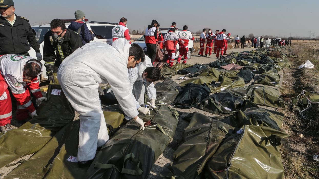 Equipos de rescate e investigadores forenses, junto a los cuerpos de víctimas de la tragedia aérea en Irán