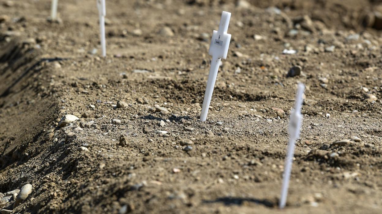 Campo 87, en un cementerio de Milán, donde fueron enterradas 60 personas fallecidas por Covid-19 y que no han sido reclamadas