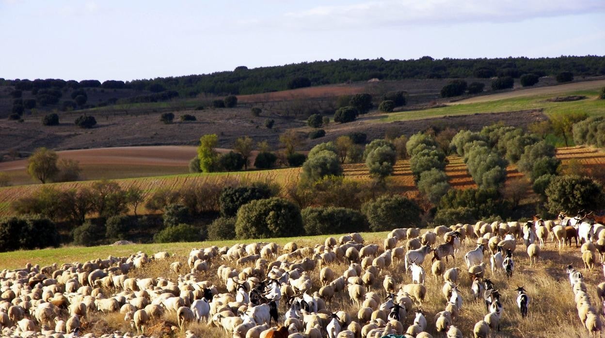 Caminos de la biodiversidad