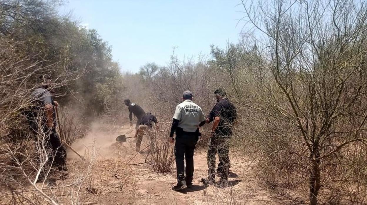 Peritos de la Fiscalía de Justicia de Sonora localizaron el cuerpo de un hombre en una fosa clandestina