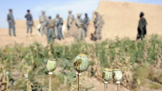 Del opio al cristal: el narcoestado del Talibán ya está aquí