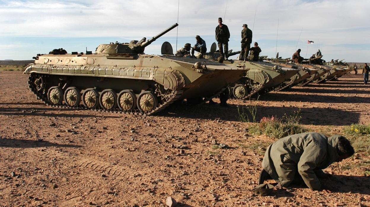 Un militar del Polisario reza durante una parada militar
