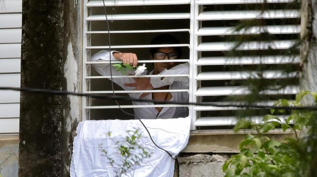 Yunior García, convocante de la marcha del 15-N, se asoma por su ventana con flores en la mano en La Habana
