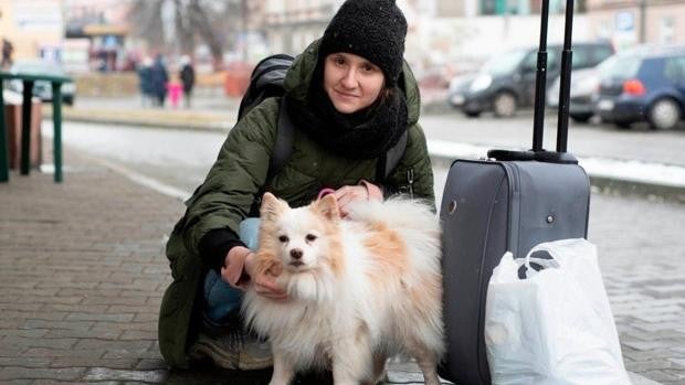 La mujer que ha adoptado al perro que le «salvó la vida» durante un bombardeo en Járkov