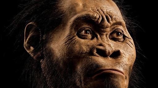 Recreación del Homo Naledi por National Geographic