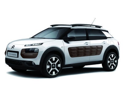 C4 Cactus