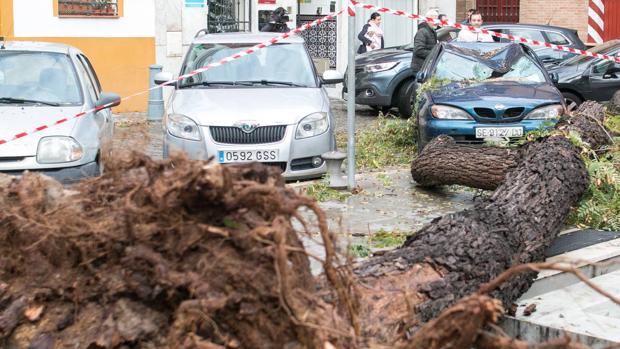 ¿Cubre el seguro del coche los daños provocados por el temporal?