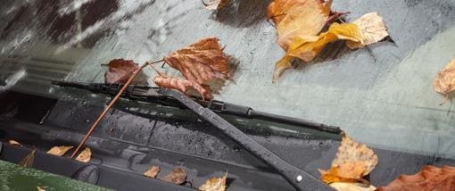 Es necesario limpiar las hojas que hayan caído sobre el coche