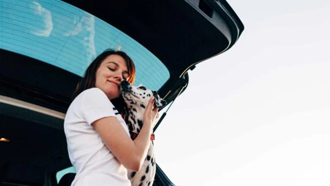 Cinco cosas que hacemos mal al transportar mascotas en el coche
