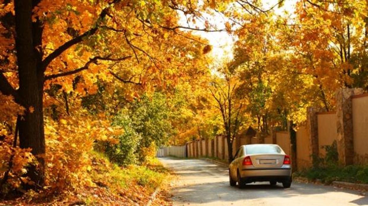 Cómo tenemos que adaptar nuestra conducción a la llegada del otoño