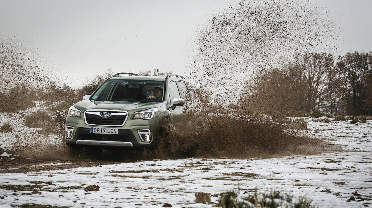 Subaru Forester: quinta generación más segura y eficiente