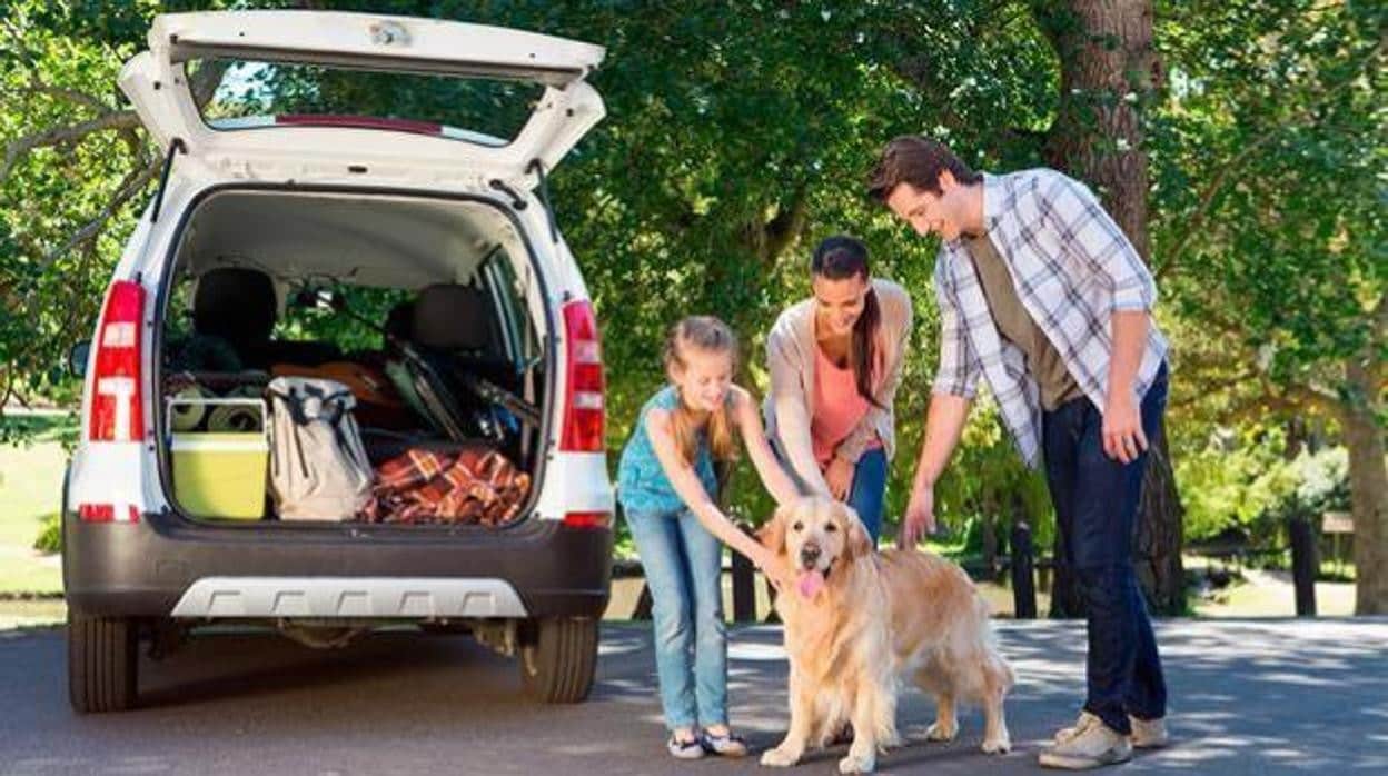 Usar un transportín, arnés o rejilla divisoria son algunos de los sistemas necesarios para proteger al perro en el coche