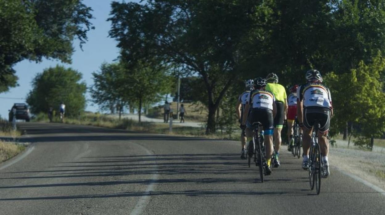 Grupo de ciclistas haciendo una ruta