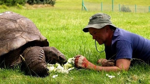 El veterinario le ofrece comida a Jonathan