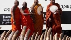 Líderes de distintas confesiones religiosas celebraron distintos ritos funerarios por los elefantes asesinados