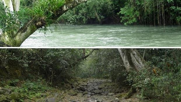 El río Atoyac abastece a 100.000 familias e industrias azucareras de distintas ciudades del estado mexicano de Veracruz