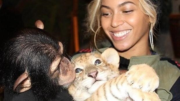 La cantante Beyoncé posa con un chimpancé