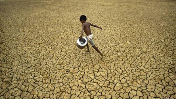 Cerca del 60% de los niños que trabajan lo hacen en el sector agrícola