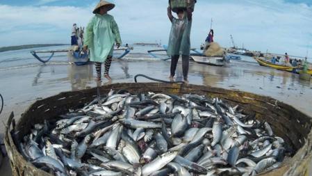 Pescadores