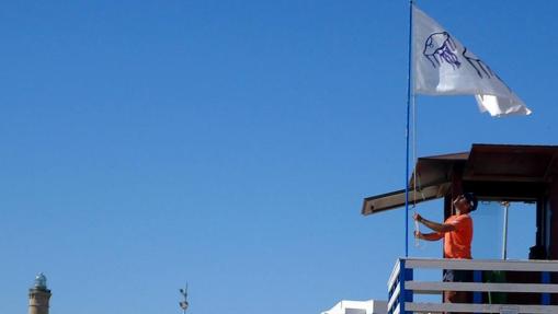 Bandera blanca izada en una playa española que indica la presencia de medusas