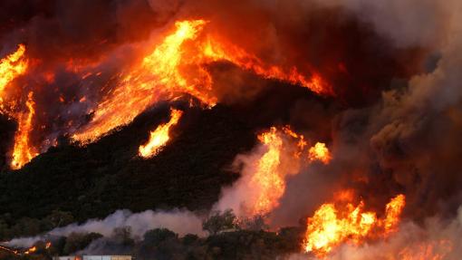 Incendio en un bosque de California (Estados Unidos)