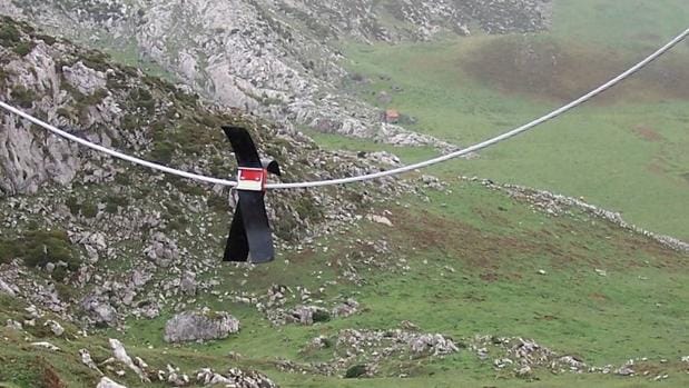 Diversos tendidos eléctricos cruzan el interior del Parque Nacional de los Picos de Europa, con el consiguiente peligro de electrocución y colisión de aves