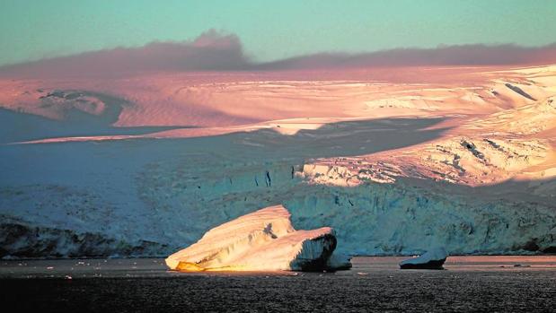 Iceberg y frente de glaciar en isla Livingston
