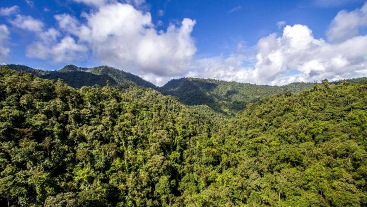 En el pasado, España se desertificó bastante, en la actualidad se desertifica poco