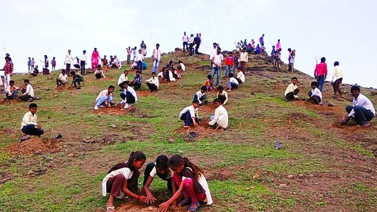 India bate su propio récord y planta 66 millones de árboles en 12 horas