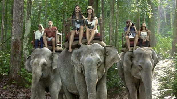 Tailandia es el país donde más ha florecido la industria del turismo relacionada con el elefante