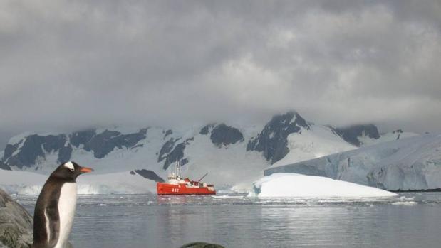 La península Antártica Occidental se sitúa a unos 6.000 kilómetros del lado opuesto del continente blanco