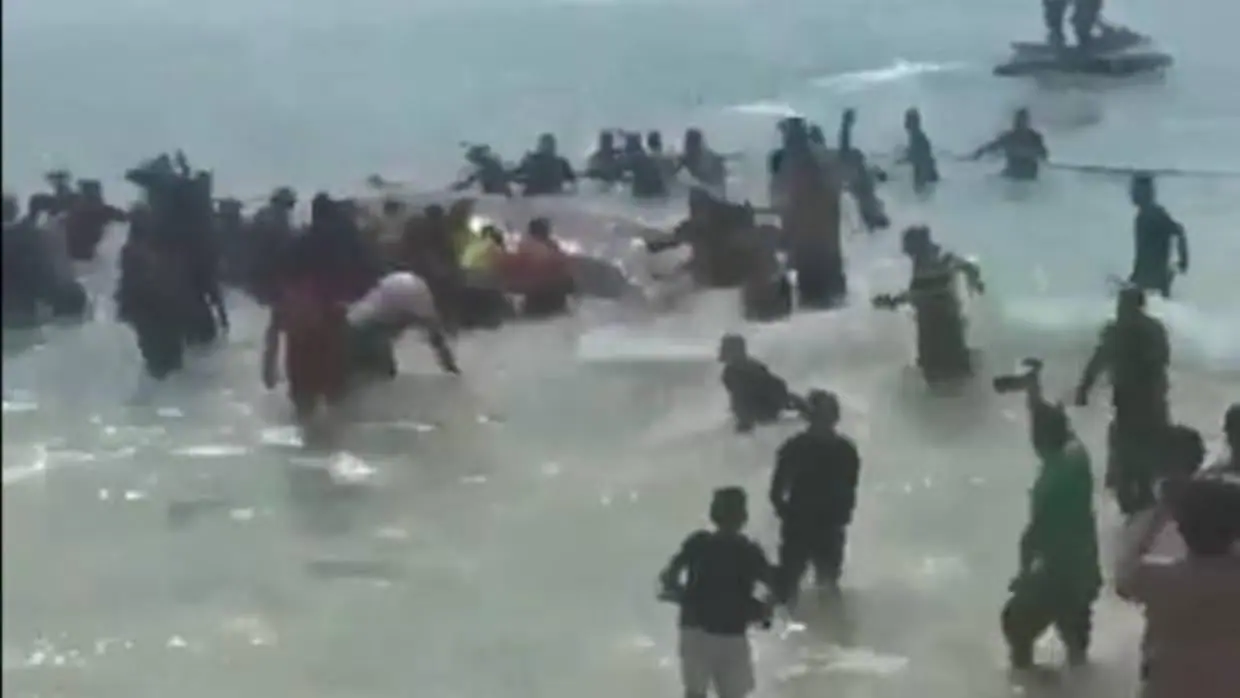 Rescate agónico de una ballena encallada en el litoral de Brasil tras 20 horas de esfuerzos