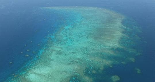 Gran Barrera de Coral (Australia)