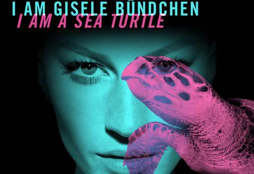 La modelo brasileña Gisele Bündchen es una tortuga
