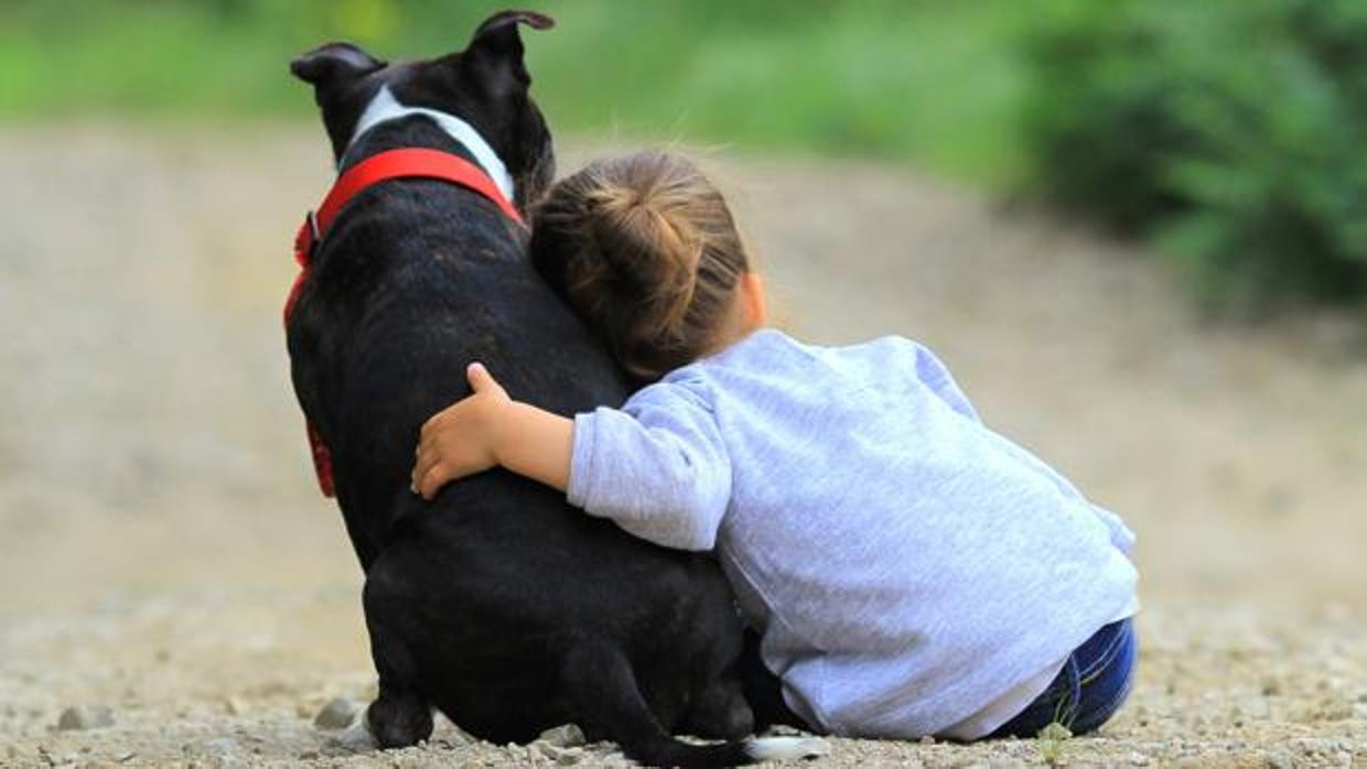 Consejos para el cuidado de mascotas