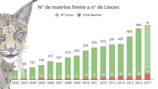 2017, un «annus horribilis» para el lince ibérico con 58 ejemplares muertos