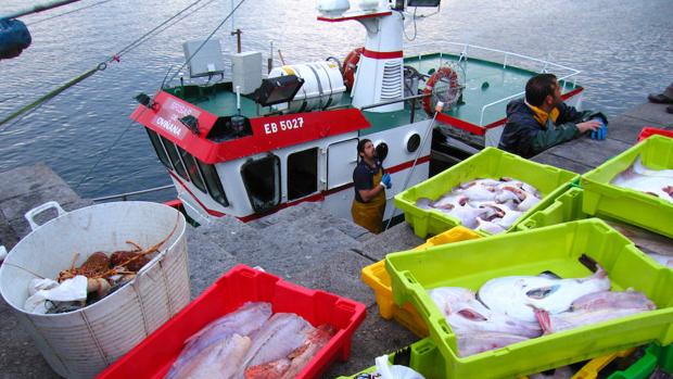 Pesca eléctrica: prohibición total y definitiva en Europa