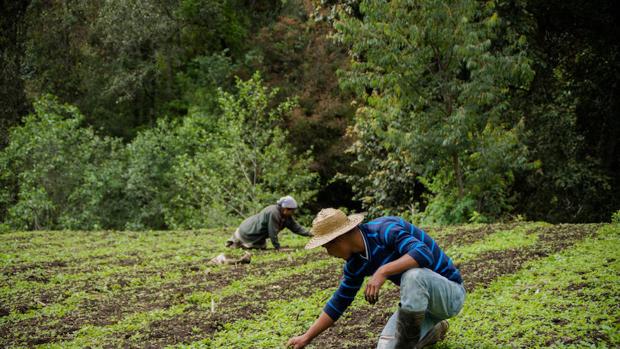 La degradación «crítica» de la tierra está socavando el bienestar de 3.200 millones de personas