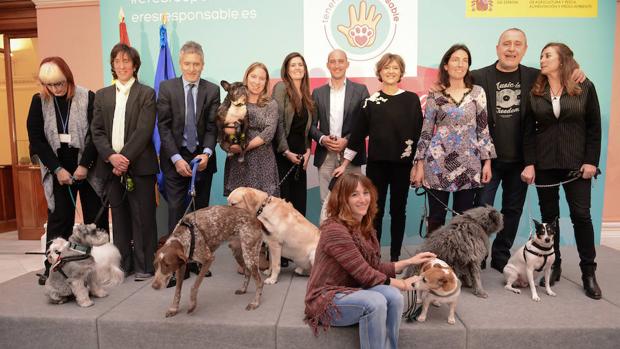 Fomentando la tenencia responsable de mascotas