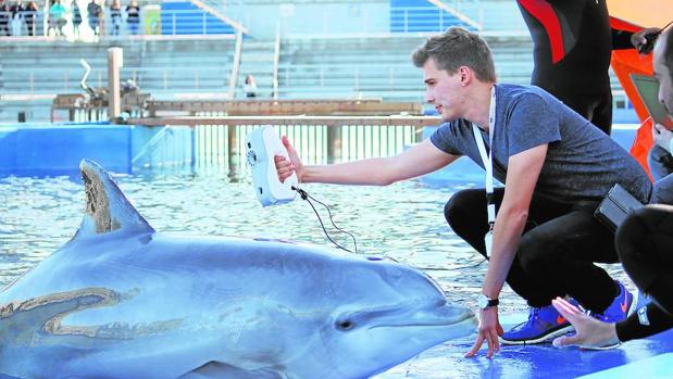 Un ejército de sensores acoplados a animales marinos para explorar los océano