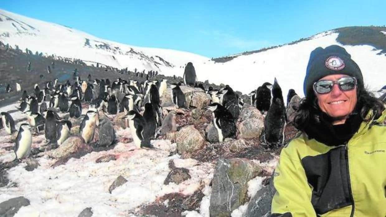 Josabel Belliure ha participado en el proyecto «Pingufor» durante la XXXI Campaña Antártica Española