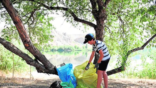 Cinco «invisibles» contribuciones de la naturaleza