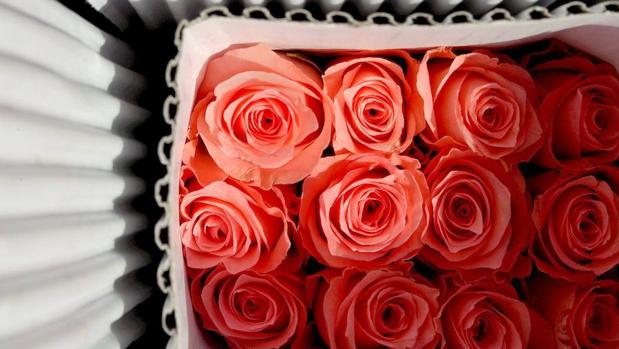 Así se alarga la breve vida de una flor cortada