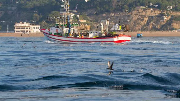 Así se combate la captura accidental de aves marinas en el mar Balear