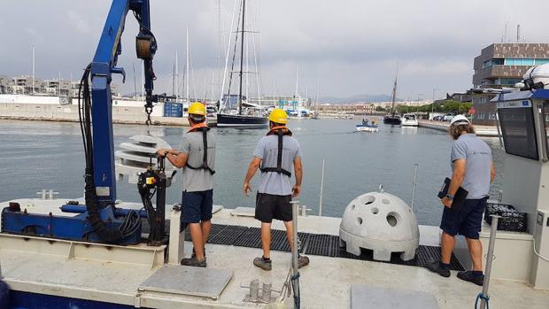 Instalan ocho arrecifes artificiales en el litoral metropolitano de Barcelona