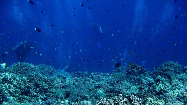 La temperatura de los océanos se acelera cada vez más