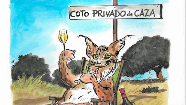 El lince desde la conservación privada